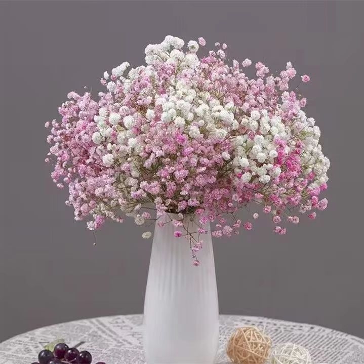 Buchet Starry Sky de flori uscate pentru decorul sufrageriei – Material: flori uscate; Varianta: Starry Sky; Meșteșug: altul