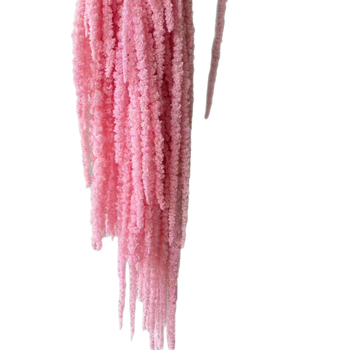 Buchet de flori uscate și conservate pentru decorul de perete la nuntă și fundal pentru fotografii — Flowers are sweet