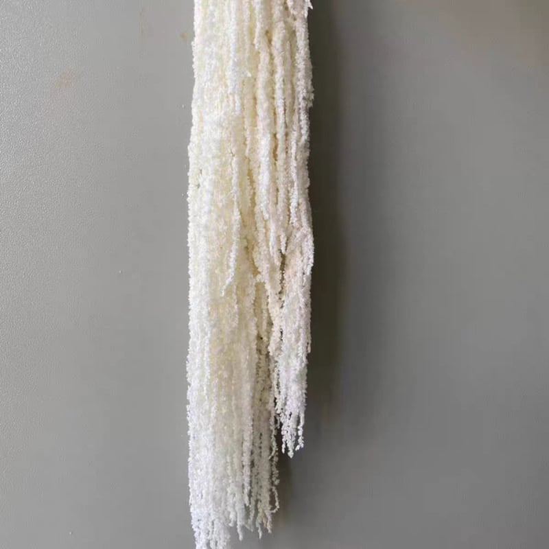 Buchet de flori uscate și conservate pentru decorul de perete la nuntă și fundal pentru fotografii — Flowers are sweet