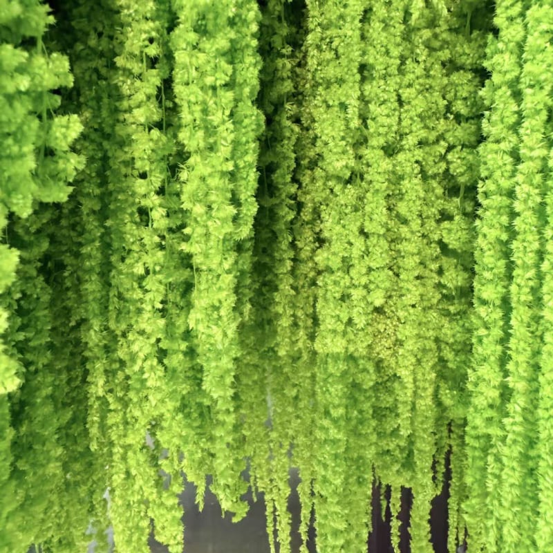 Buchet de flori uscate și conservate pentru decorul de perete la nuntă și fundal pentru fotografii — Flowers are sweet