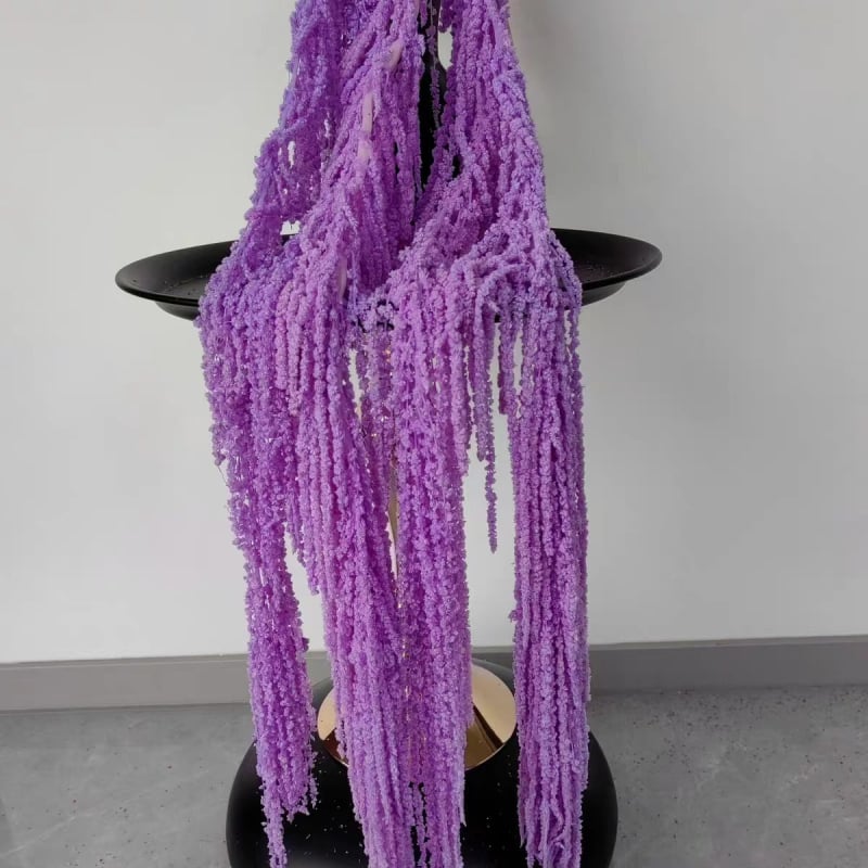 Buchet de flori uscate și conservate pentru decorul de perete la nuntă și fundal pentru fotografii — Flowers are sweet