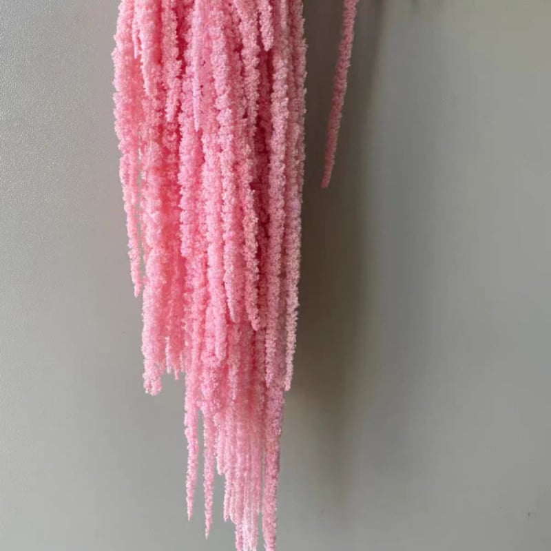 Buchet de flori uscate și conservate pentru decorul de perete la nuntă și fundal pentru fotografii — Flowers are sweet