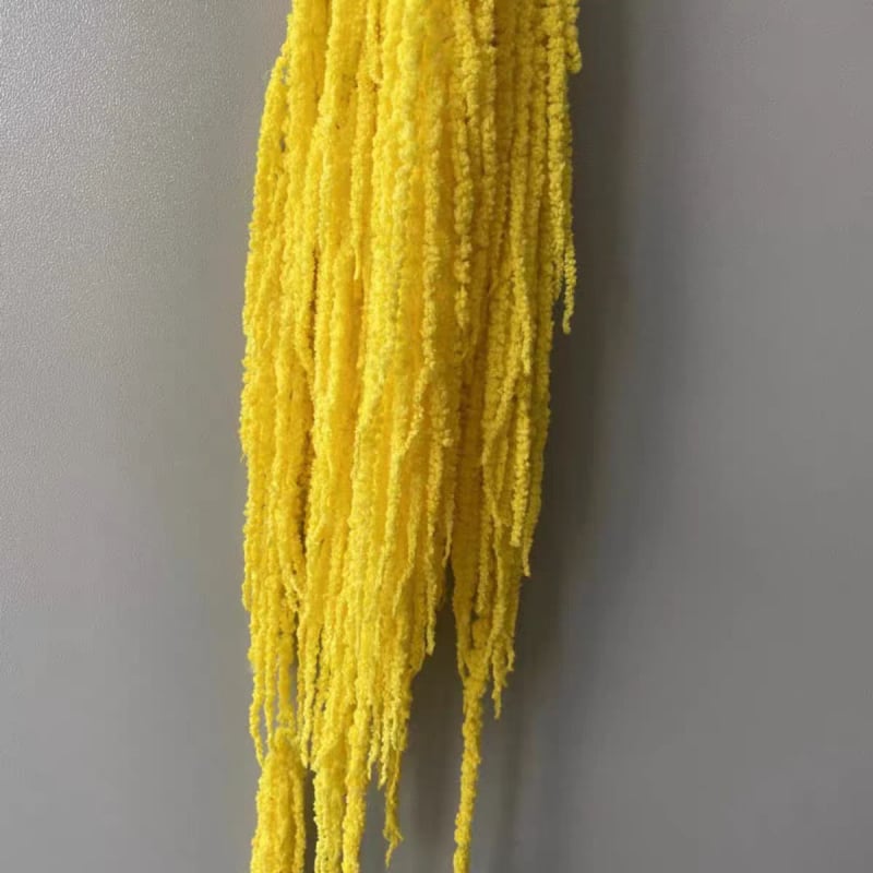 Buchet de flori uscate și conservate pentru decorul de perete la nuntă și fundal pentru fotografii — Flowers are sweet