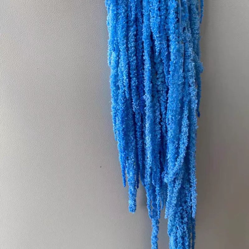 Buchet de flori uscate și conservate pentru decorul de perete la nuntă și fundal pentru fotografii — Flowers are sweet