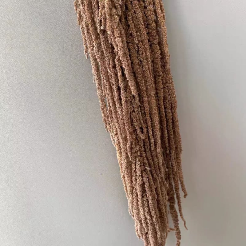 Buchet de flori uscate și conservate pentru decorul de perete la nuntă și fundal pentru fotografii — Flowers are sweet