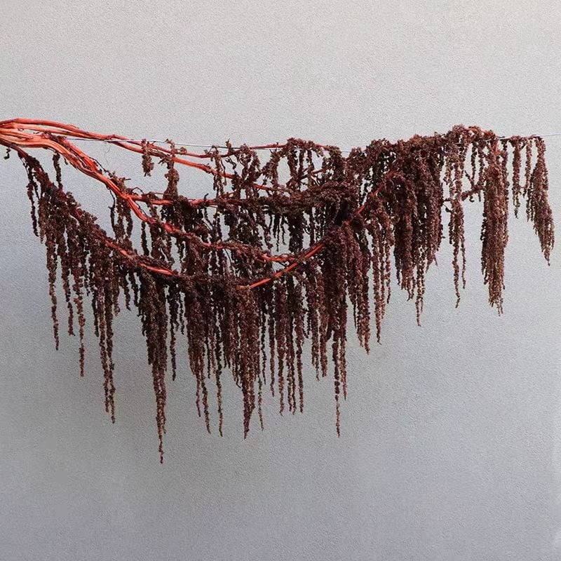 Buchet de flori uscate și conservate pentru decorul de perete la nuntă și fundal pentru fotografii — Flowers are sweet