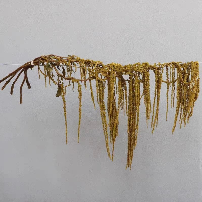 Buchet de flori uscate și conservate pentru decorul de perete la nuntă și fundal pentru fotografii — Flowers are sweet