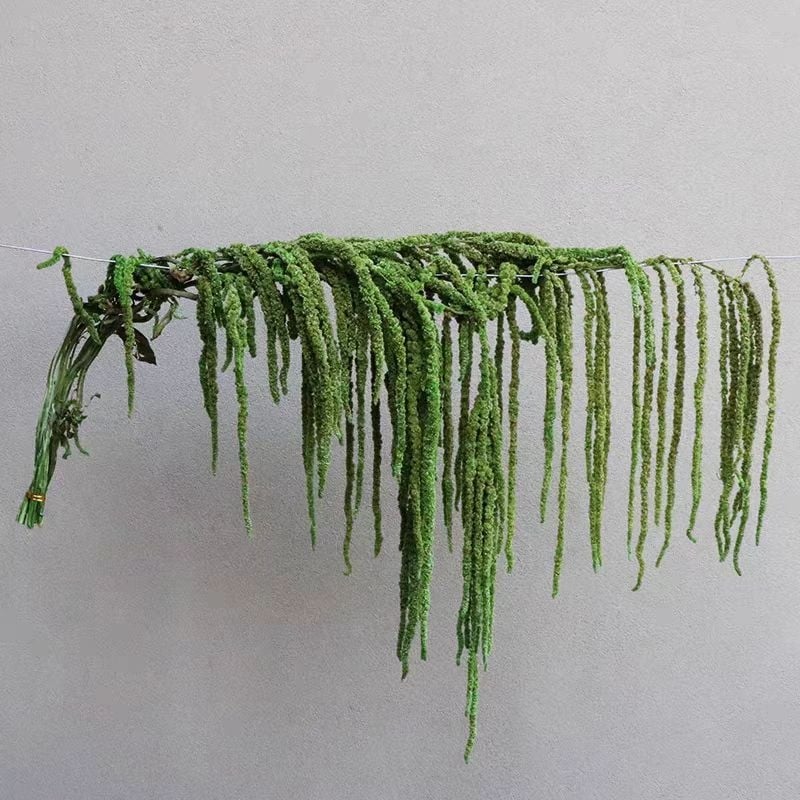 Buchet de flori uscate și conservate pentru decorul de perete la nuntă și fundal pentru fotografii — Flowers are sweet