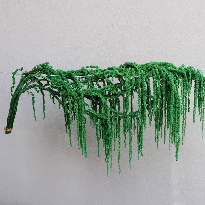 Buchet de flori uscate și conservate pentru decorul de perete la nuntă și fundal pentru fotografii — Flowers are sweet