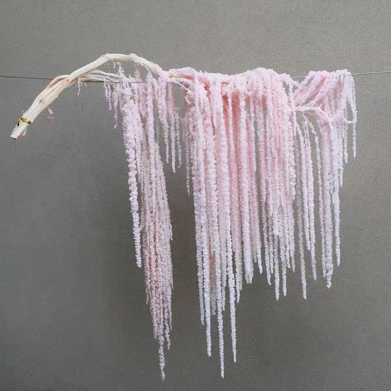 Buchet de flori uscate și conservate pentru decorul de perete la nuntă și fundal pentru fotografii — Flowers are sweet