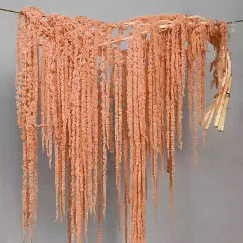 Buchet de flori uscate și conservate pentru decorul de perete la nuntă și fundal pentru fotografii — Flowers are sweet