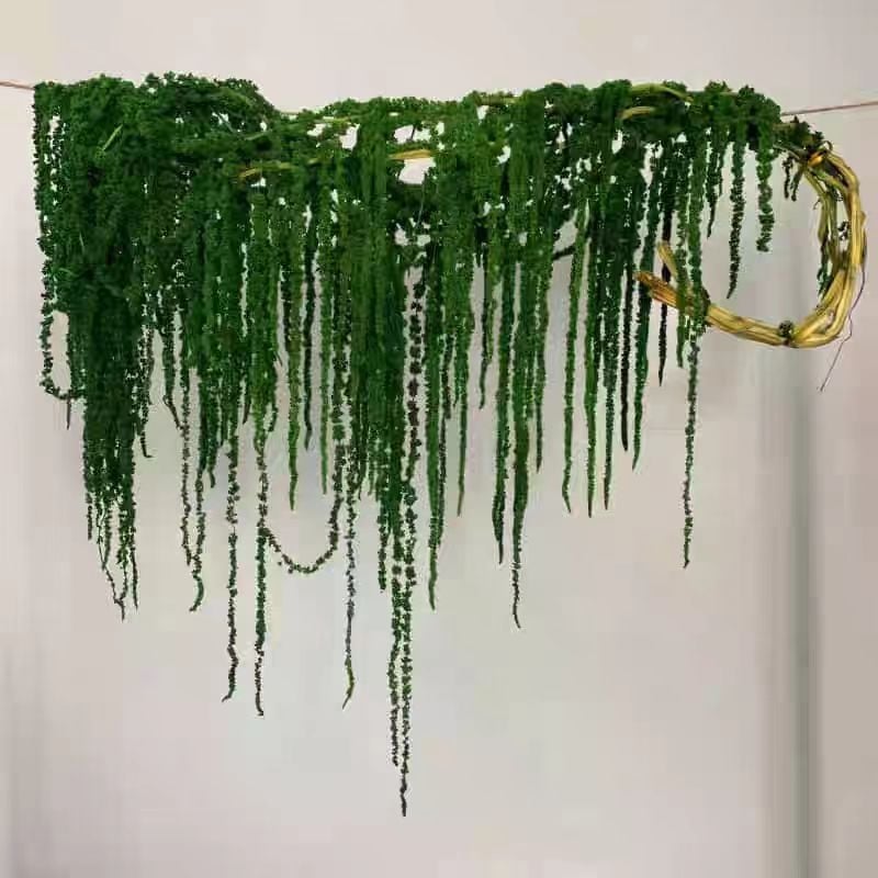 Buchet de flori uscate și conservate pentru decorul de perete la nuntă și fundal pentru fotografii — Flowers are sweet