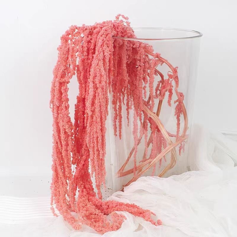 Buchet de flori uscate și conservate pentru decorul de perete la nuntă și fundal pentru fotografii — Flowers are sweet