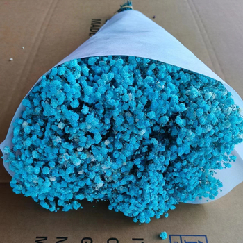 Buchet de flori uscate Manta – Material: flori uscate și Floare Eternă; Varietate: Gymphs; cadou potrivit; ocazii: Altele