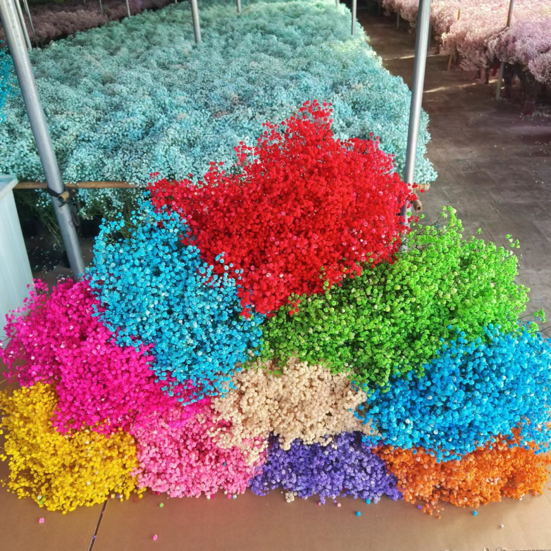 Buchet de flori uscate Manta – Material: flori uscate și Floare Eternă; Varietate: Gymphs; cadou potrivit; ocazii: Altele