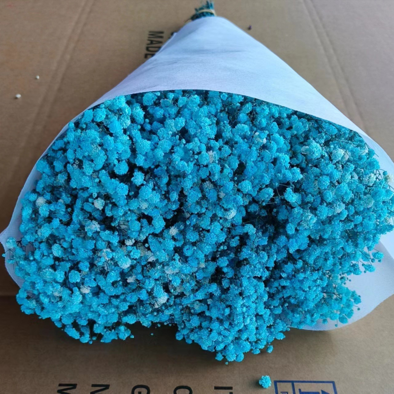 Buchet de flori uscate Manta – Material: flori uscate și Floare Eternă; Varietate: Gymphs; cadou potrivit; ocazii: Altele