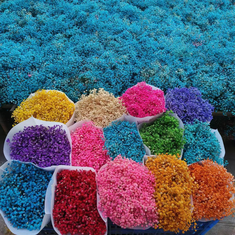 Buchet de flori uscate Manta – Material: flori uscate și Floare Eternă; Varietate: Gymphs; cadou potrivit; ocazii: Altele