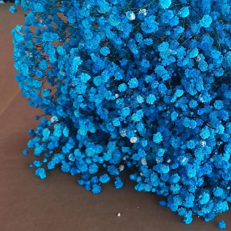 Buchet de flori uscate Manta – Material: flori uscate și Floare Eternă; Varietate: Gymphs; cadou potrivit; ocazii: Altele