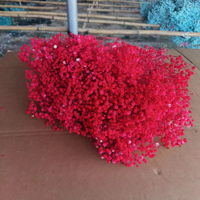 Buchet de flori uscate Manta – Material: flori uscate și Floare Eternă; Varietate: Gymphs; cadou potrivit; ocazii: Altele