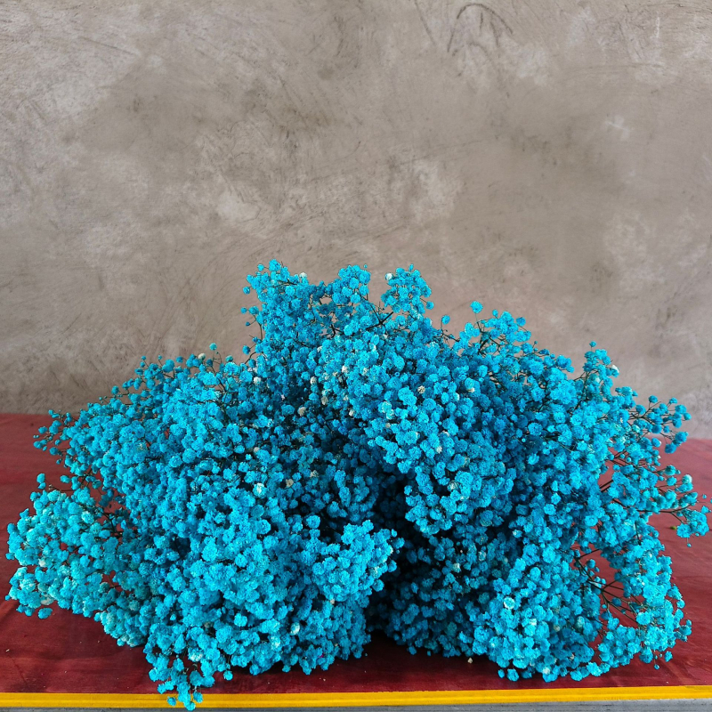 Buchet de flori uscate Manta – Material: flori uscate și Floare Eternă; Varietate: Gymphs; cadou potrivit; ocazii: Altele