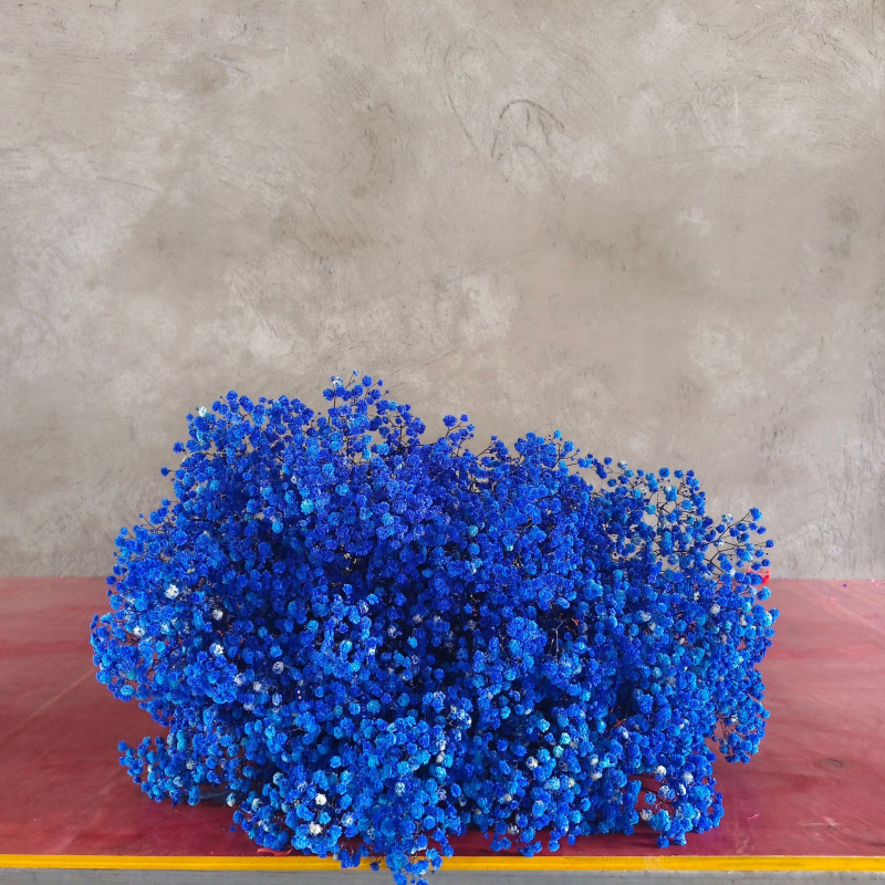 Buchet de flori uscate Manta – Material: flori uscate și Floare Eternă; Varietate: Gymphs; cadou potrivit; ocazii: Altele