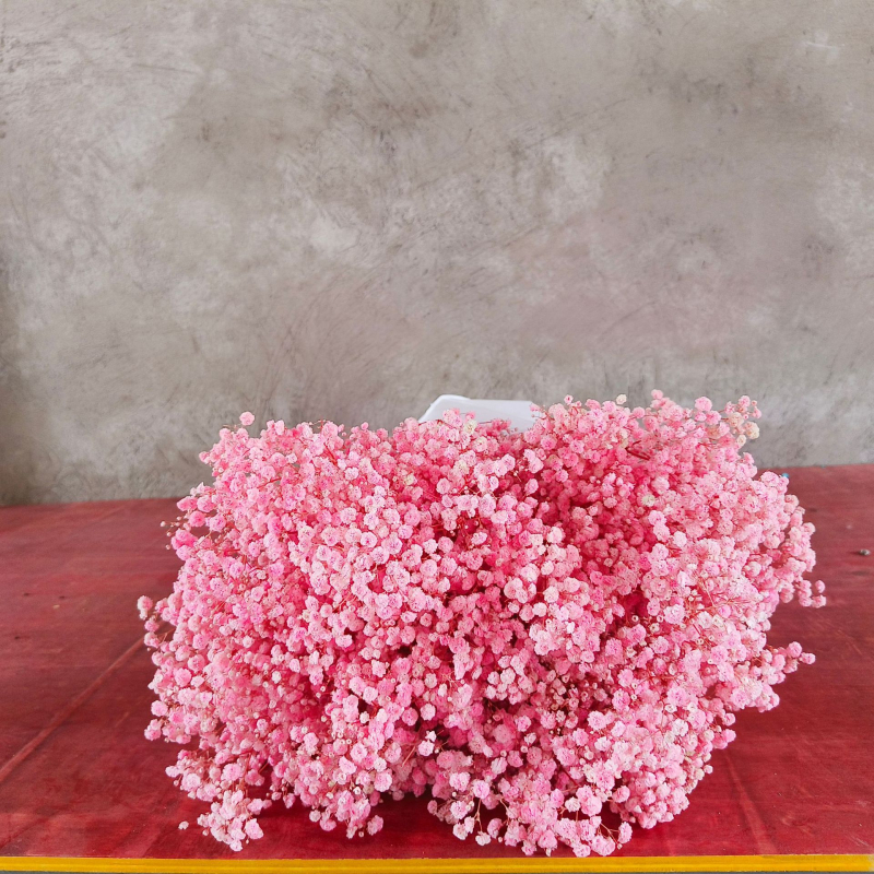 Buchet de flori uscate Manta – Material: flori uscate și Floare Eternă; Varietate: Gymphs; cadou potrivit; ocazii: Altele