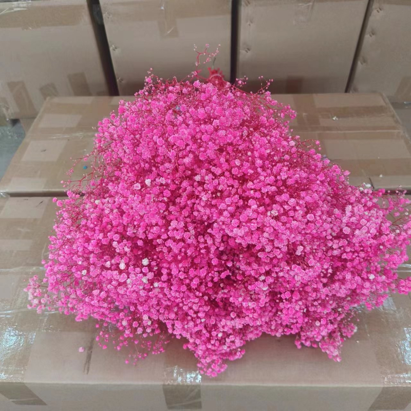 Buchet de flori uscate Manta – Material: flori uscate și Floare Eternă; Varietate: Gymphs; cadou potrivit; ocazii: Altele