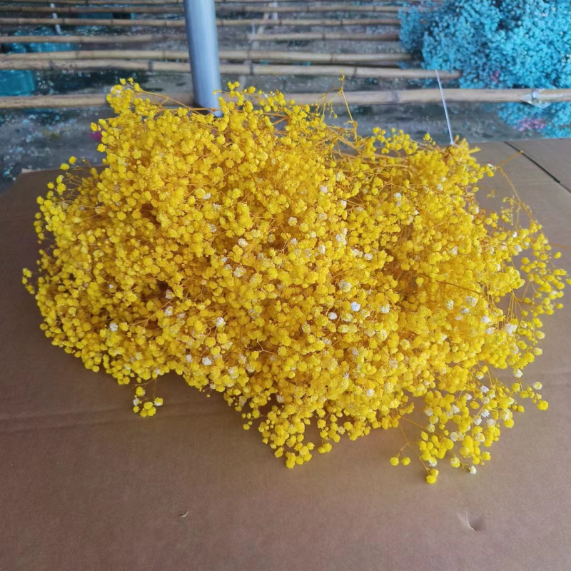 Buchet de flori uscate Manta – Material: flori uscate și Floare Eternă; Varietate: Gymphs; cadou potrivit; ocazii: Altele