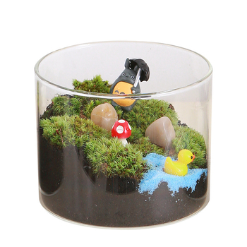 DIY sūnu mikro ainavu komplekts — cilindriskā pudeles materiāli, radošas ģimenes darbnīcas, mini zaļie augi, uzņēmuma dāvana