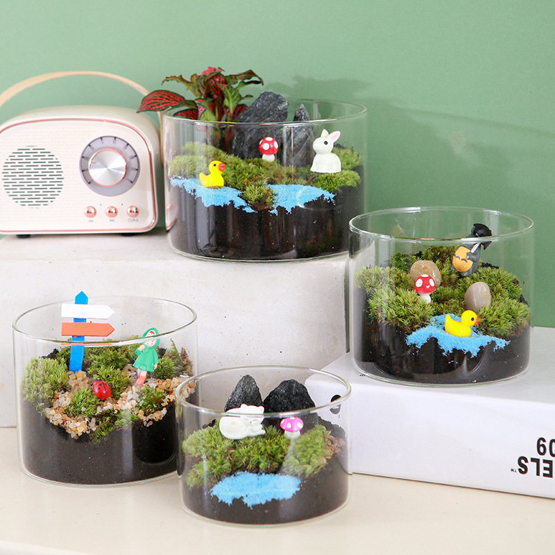 DIY sūnu mikro ainavu komplekts — cilindriskā pudeles materiāli, radošas ģimenes darbnīcas, mini zaļie augi, uzņēmuma dāvana