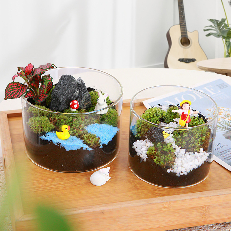 DIY sūnu mikro ainavu komplekts — cilindriskā pudeles materiāli, radošas ģimenes darbnīcas, mini zaļie augi, uzņēmuma dāvana