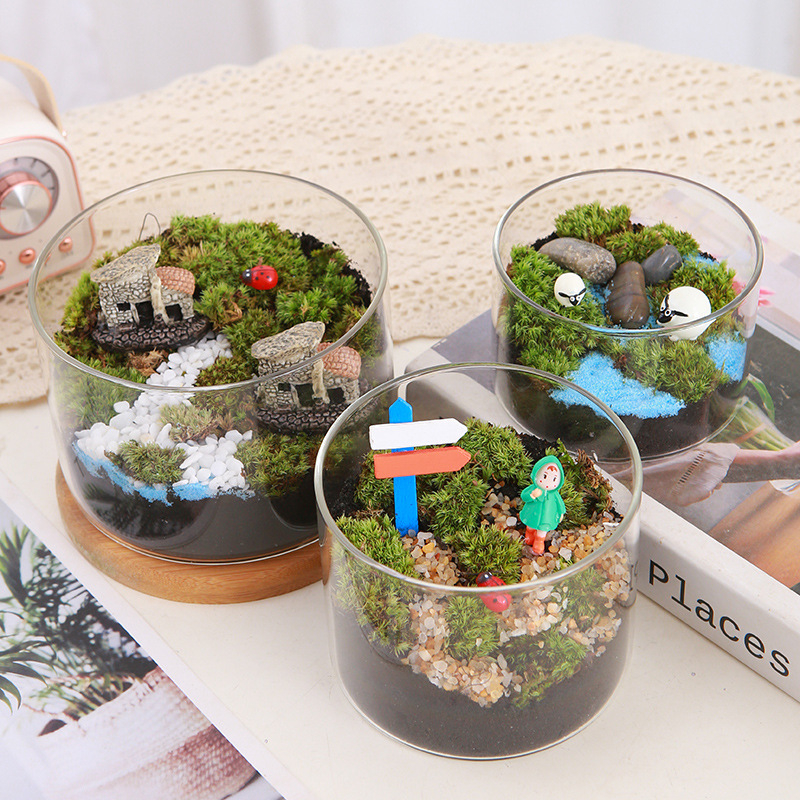 DIY sūnu mikro ainavu komplekts — cilindriskā pudeles materiāli, radošas ģimenes darbnīcas, mini zaļie augi, uzņēmuma dāvana