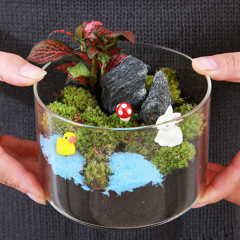 DIY sūnu mikro ainavu komplekts — cilindriskā pudeles materiāli, radošas ģimenes darbnīcas, mini zaļie augi, uzņēmuma dāvana