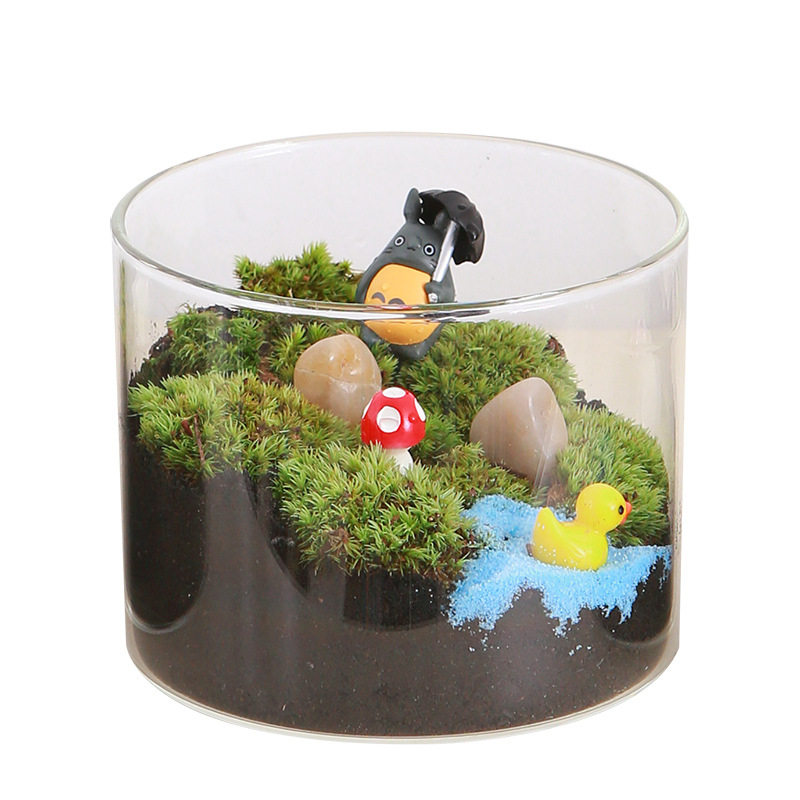 DIY sūnu mikro ainavu komplekts — cilindriskā pudeles materiāli, radošas ģimenes darbnīcas, mini zaļie augi, uzņēmuma dāvana