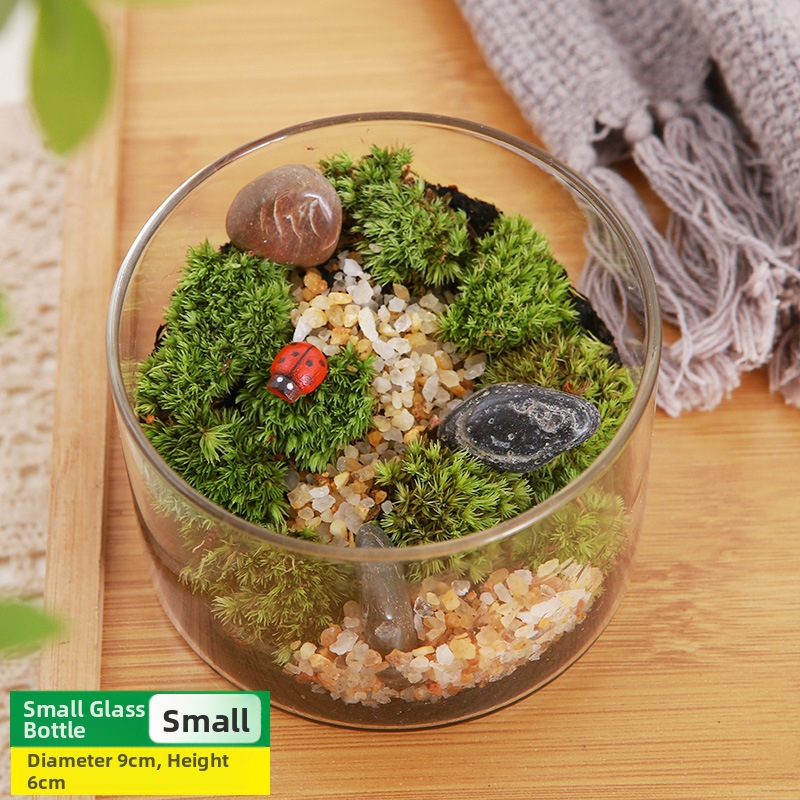 DIY sūnu mikro ainavu komplekts — cilindriskā pudeles materiāli, radošas ģimenes darbnīcas, mini zaļie augi, uzņēmuma dāvana