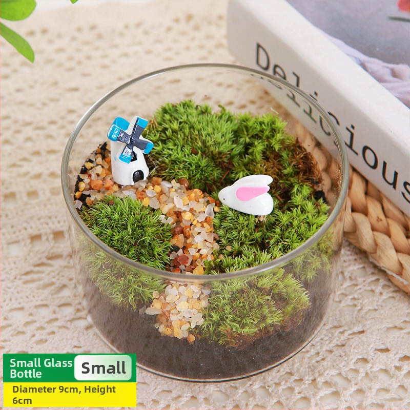 DIY sūnu mikro ainavu komplekts — cilindriskā pudeles materiāli, radošas ģimenes darbnīcas, mini zaļie augi, uzņēmuma dāvana
