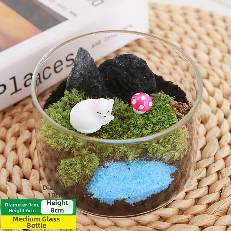 DIY sūnu mikro ainavu komplekts — cilindriskā pudeles materiāli, radošas ģimenes darbnīcas, mini zaļie augi, uzņēmuma dāvana