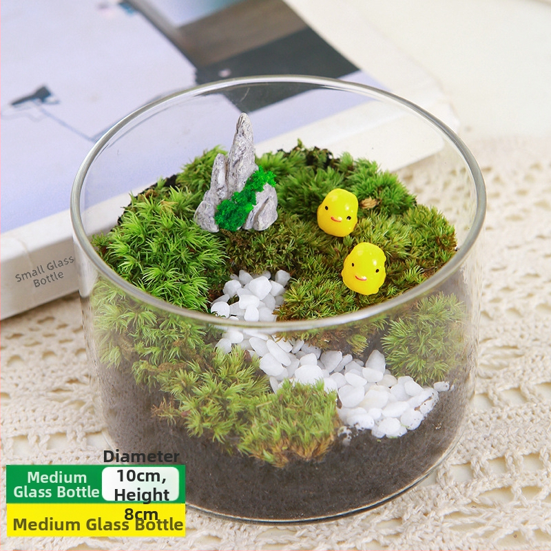 DIY sūnu mikro ainavu komplekts — cilindriskā pudeles materiāli, radošas ģimenes darbnīcas, mini zaļie augi, uzņēmuma dāvana