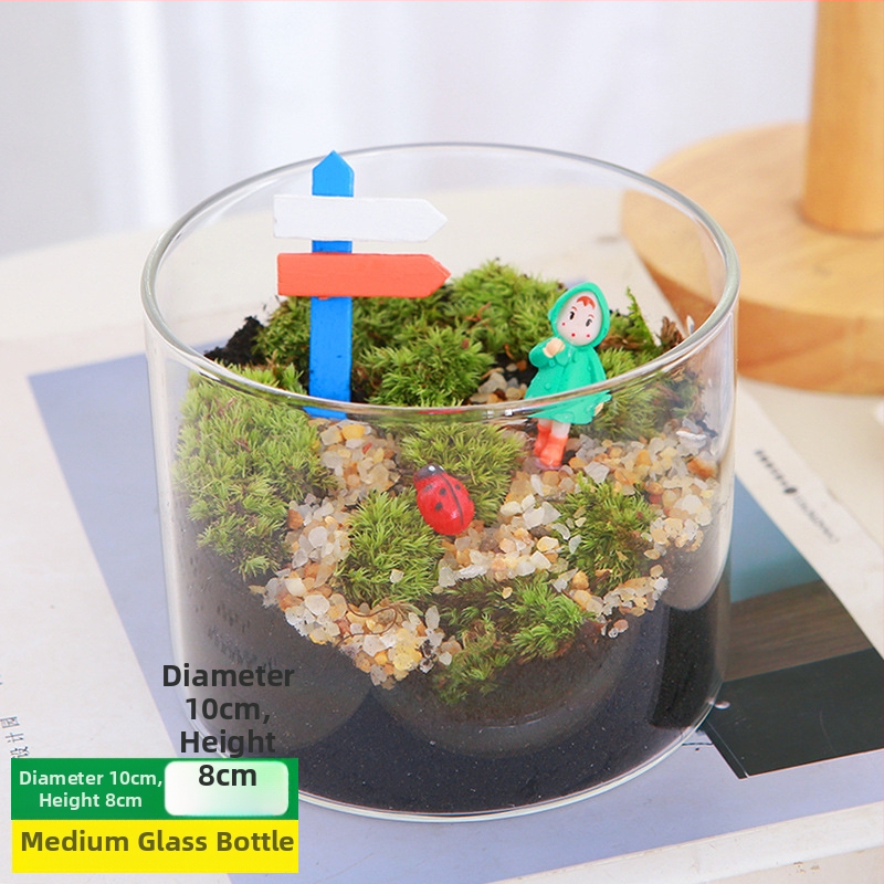 DIY sūnu mikro ainavu komplekts — cilindriskā pudeles materiāli, radošas ģimenes darbnīcas, mini zaļie augi, uzņēmuma dāvana