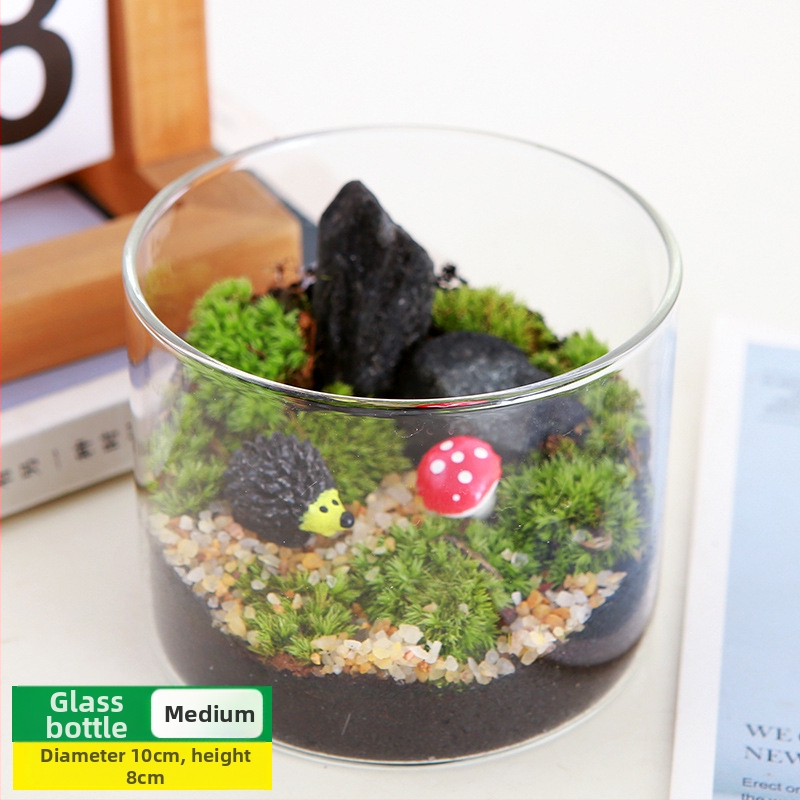 DIY sūnu mikro ainavu komplekts — cilindriskā pudeles materiāli, radošas ģimenes darbnīcas, mini zaļie augi, uzņēmuma dāvana