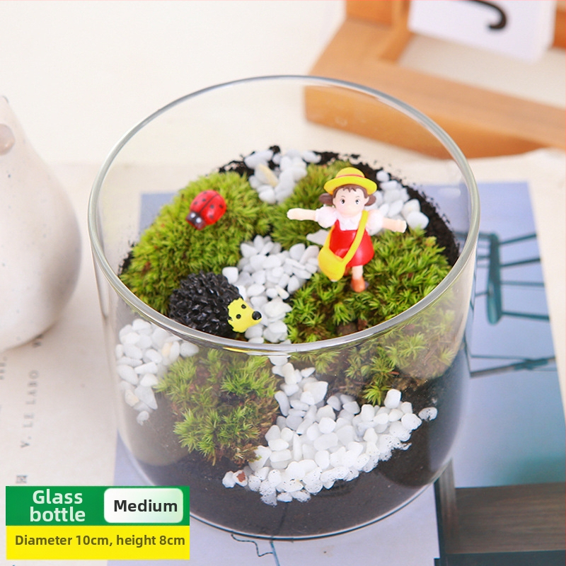 DIY sūnu mikro ainavu komplekts — cilindriskā pudeles materiāli, radošas ģimenes darbnīcas, mini zaļie augi, uzņēmuma dāvana