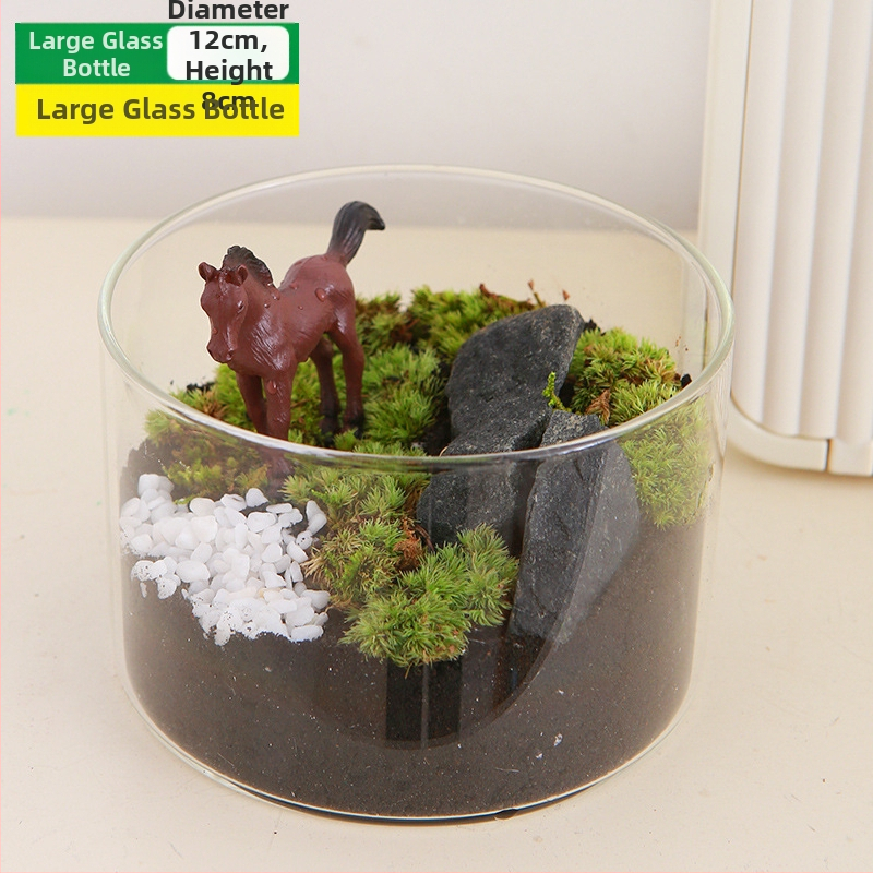 DIY sūnu mikro ainavu komplekts — cilindriskā pudeles materiāli, radošas ģimenes darbnīcas, mini zaļie augi, uzņēmuma dāvana