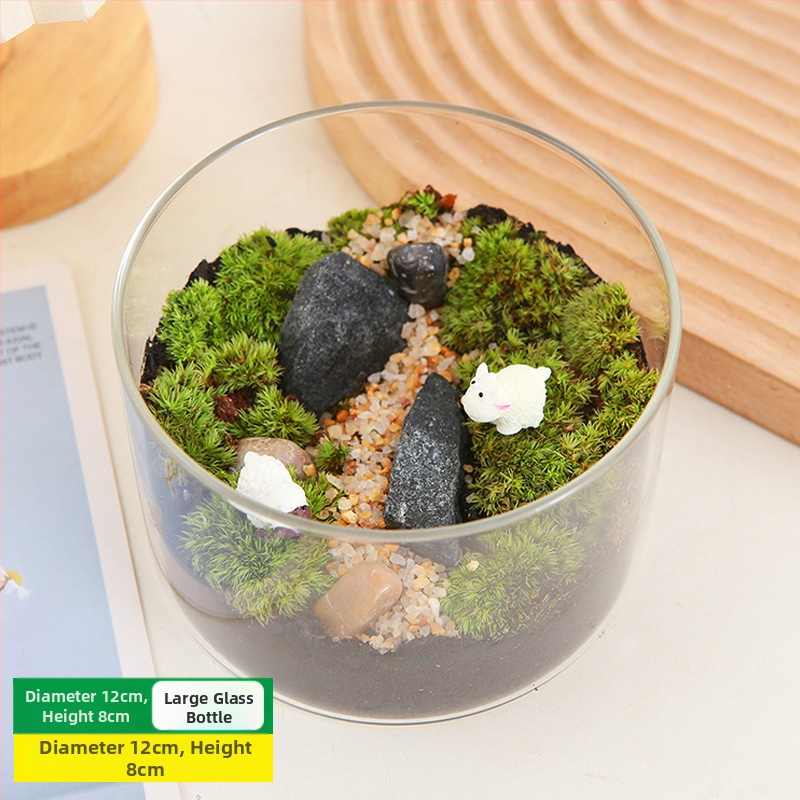 DIY sūnu mikro ainavu komplekts — cilindriskā pudeles materiāli, radošas ģimenes darbnīcas, mini zaļie augi, uzņēmuma dāvana