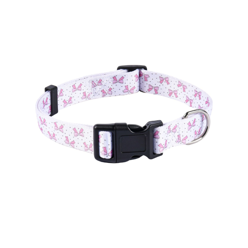 Poliészter kutya nyakörv és póráz készlet — nyakörv + póráz, 100 darabos dobozban