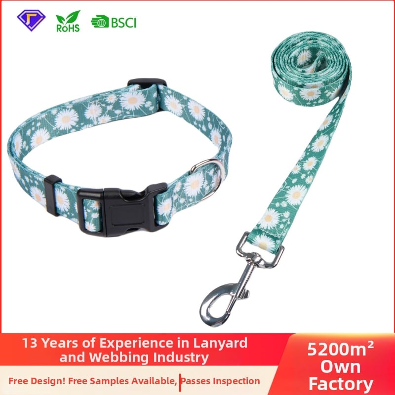 Poliészter kutya nyakörv és póráz készlet — nyakörv + póráz, 100 darabos dobozban