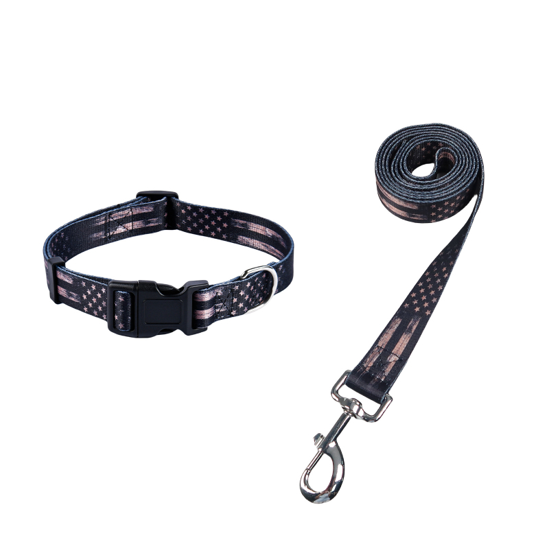 Poliészter kutya nyakörv és póráz készlet — nyakörv + póráz, 100 darabos dobozban