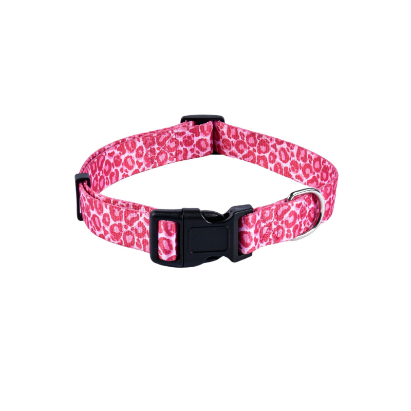 Poliészter kutya nyakörv és póráz készlet — nyakörv + póráz, 100 darabos dobozban