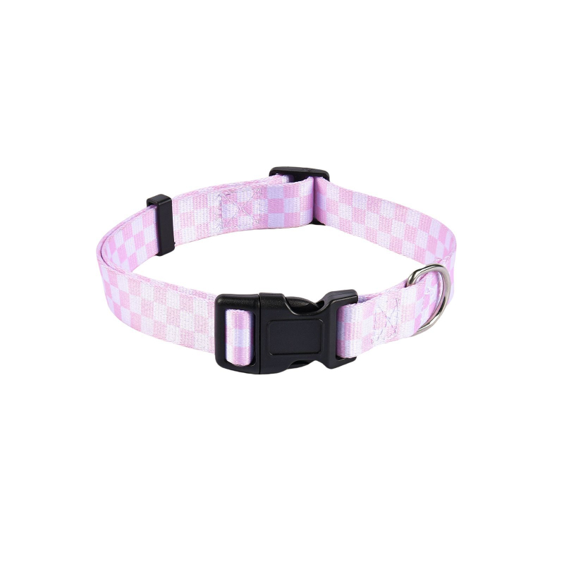 Poliészter kutya nyakörv és póráz készlet — nyakörv + póráz, 100 darabos dobozban