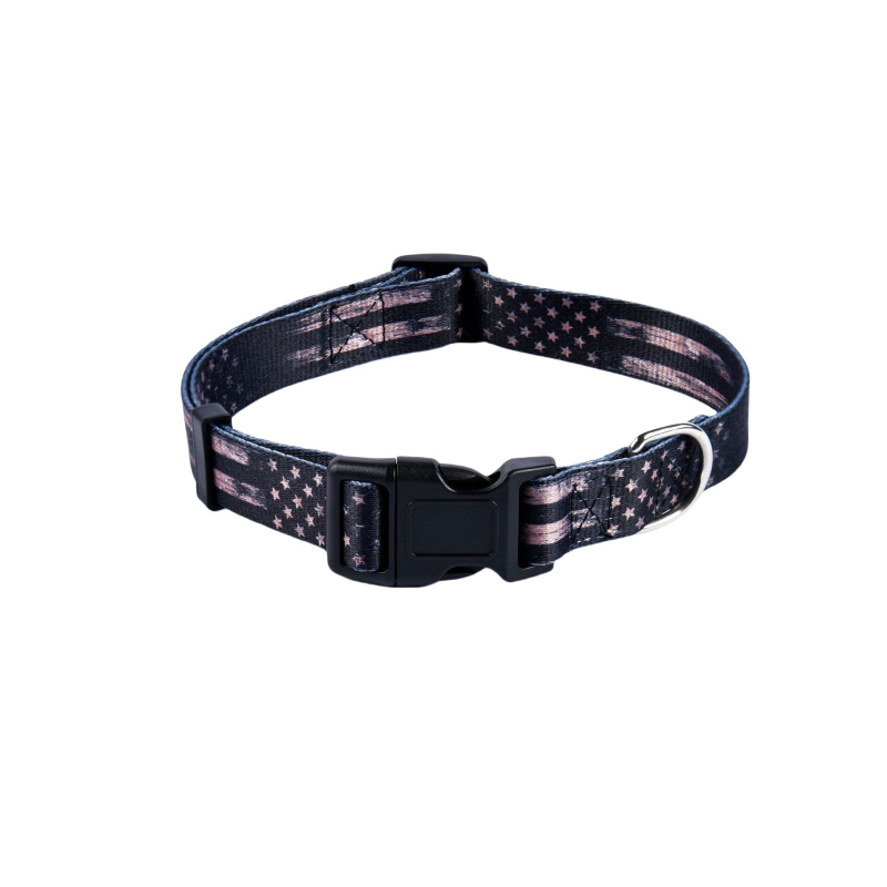 Poliészter kutya nyakörv és póráz készlet — nyakörv + póráz, 100 darabos dobozban