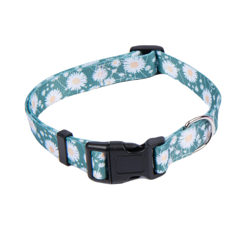 Poliészter kutya nyakörv és póráz készlet — nyakörv + póráz, 100 darabos dobozban